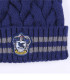 CHILDREN'S WINTER HAT HARRY POTTER BLUE Cerda