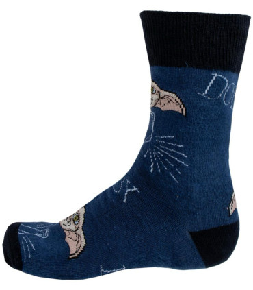 NOTEBOOK WITH PEN AND SOCKS HARRY POTTER DOBBY Cerda