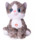 PLUSH CAT WITH SOUND 25 CM GRAY/ORANGE Amek toys