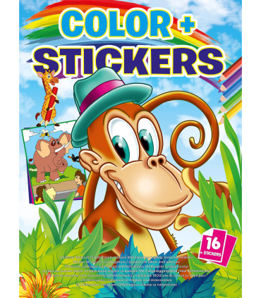 COLORING BOOK COLOR + STICKERS 16 PAGES 4 TYPES Boek Specials Nederland bv
