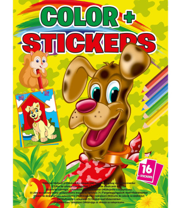 COLORING BOOK COLOR + STICKERS 16 PAGES 4 TYPES Boek Specials Nederland bv
