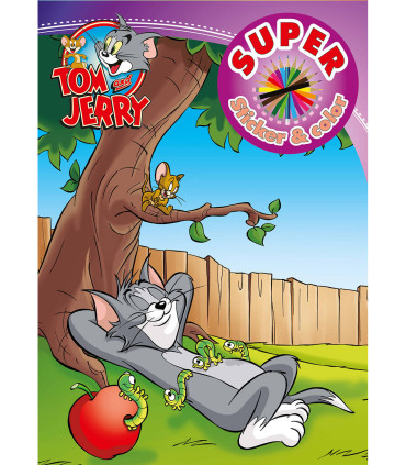 COLORING BOOK + STICKERS WARNER BROS HEROES 32 PAGES 6 TYPES Boek Specials Nederland bv
