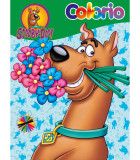 ΒΙΒΛΙΟ ΖΩΓΡΑΦΙΚΗΣ COLORIO WARNER BROS ΗΡΩΕΣ 32 ΣΕΛ. 6 ΤΥΠΟΙ Boek Specials Nederland bv