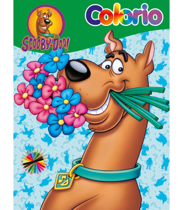 COLORING BOOK COLORIO WARNER BROS HEROES 32 PAGES 6 TYPES Boek Specials Nederland bv