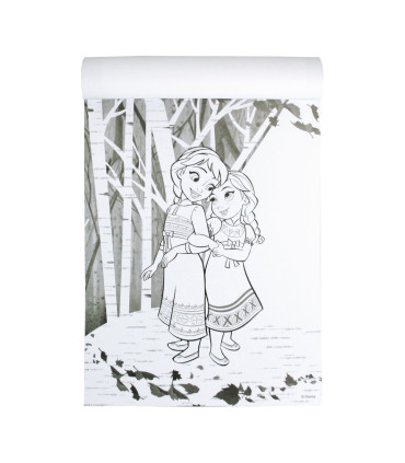 NOTEBOOK COLORING BOOK DISNEY MAGIA COLORIDA 96 PAGES 4 TYPES Europrice
