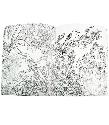 HARDCOVER COLORING BOOK 64 PAGES 4 TYPES Europrice