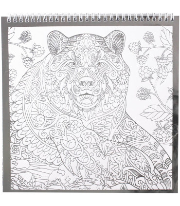 COLORING BOOK WITH 12 SILVER PAGES, 2 TYPES Europrice