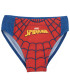 ΠΑΙΔΙΚΟ ΜΑΓΙΟ SLIP SPIDERMAN 3-7 ΕΤΩΝ Cerda