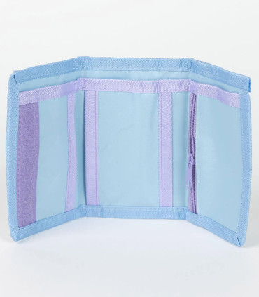 CHILDREN'S SUNGLASSES WITH FROZEN CASE Cerda