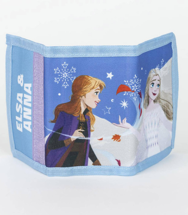 CHILDREN'S SUNGLASSES WITH FROZEN CASE Cerda