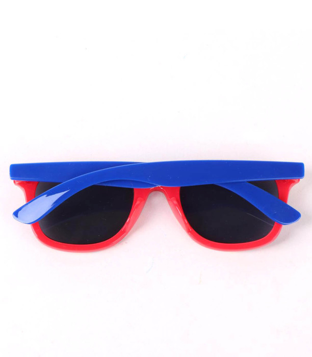 CHILDREN'S SUNGLASSES WITH PAW PATROL CASE Cerda