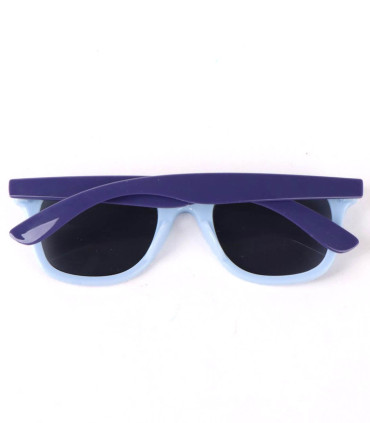 CHILDREN'S SUNGLASSES WITH BLUEY CASE Cerda