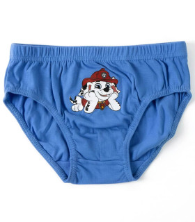 BOYS' UNDERWEAR 5 PCS IN PAW PATROL BAG 2-8 YEARS Cerda