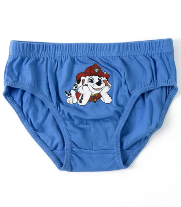 BOYS' UNDERWEAR 5 PCS IN PAW PATROL BAG 2-8 YEARS Cerda