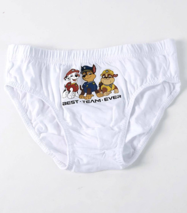 BOYS' UNDERWEAR 5 PCS IN PAW PATROL BAG 2-8 YEARS Cerda