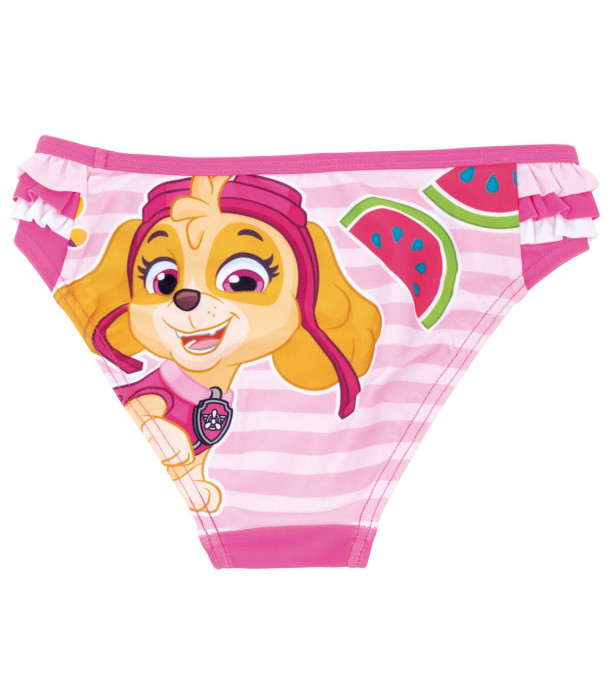 CHILDREN'S SWIM BRIEFS PAW PATROL SKYE 2-4-6 YEARS. Arditex