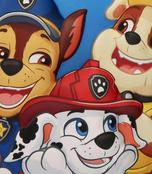 KIDS 3D THERMO BAG PAW PATROL