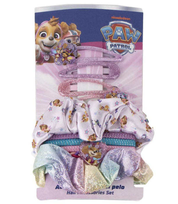 HAIR ACCESSORIES IN PAW PATROL CASE