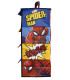ΟΡΓΑΝΩΤΗΣ 4 ΕΠΙΠΕΔΩΝ SPIDERMAN