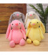 PLUSH RABBIT WITH LONG EARS 25 CM 4 COLORS - Small