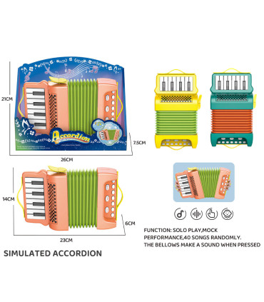 ACCORDION ON BATTERIES - Other musical instruments