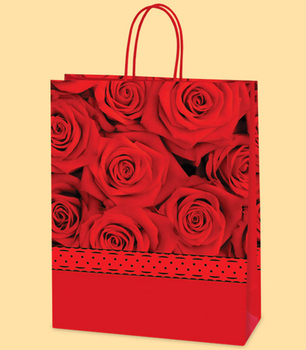 GLOSSY RED GIFT BAG WITH ROSES - PACKAGING AND BATTERIES