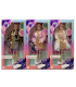DOLL WITH LONG BRAID AND COAT 4 TYPES - DOLLS AND MERMAIDS