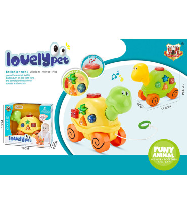 BABY MUSICAL TOY TURTLE PULL ALONG IN BOX - Musical