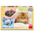 CHILDREN'S PUZZLE CATS 3X55 PIECES - PUZZLES AND CUBES