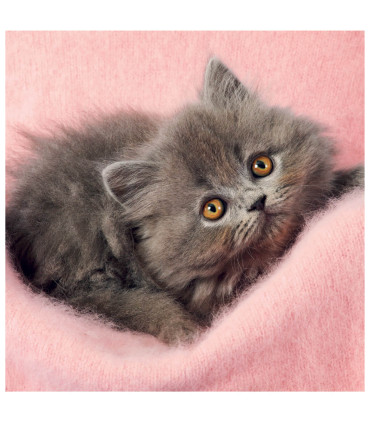 CHILDREN'S PUZZLE CATS 3X55 PIECES - PUZZLES AND CUBES