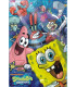 PUZZLE SPONGE 1000 PIECES VERTICAL BOX - PUZZLES AND CUBES