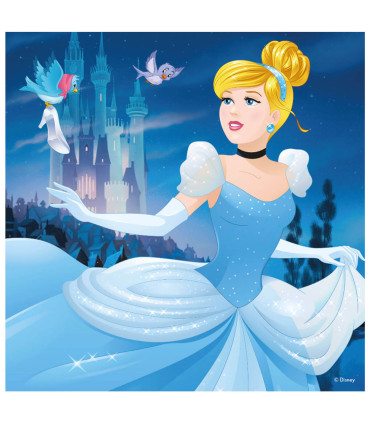 DISNEY PRINCESS CHILDREN'S PUZZLE 3X55 PIECES - PUZZLES AND CUBES