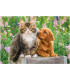 CHILDREN'S PUZZLE DOG AND CAT 2X48 PIECES - PUZZLES AND CUBES