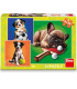 CHILDREN'S PUZZLE DOGS 3X55 PIECES - PUZZLES AND CUBES