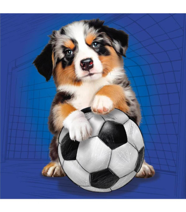 CHILDREN'S PUZZLE DOGS 3X55 PIECES - PUZZLES AND CUBES