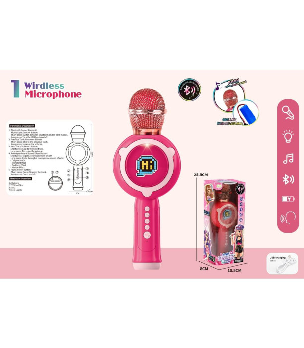 CHILDREN'S KARAOKE MICROPHONE IN A BOX - Microphones