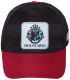 ΠΑΙΔΙΚΟ ΚΑΠΕΛΟ ΜΕ ΓΕΝΙΑ ΚΑΙ ΔΙΚΤΥΟ HARRY POTTER - HOGWARTS 51/54 Arditex