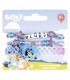 3 GRIVNAS ON BLUEY CARD Cerda