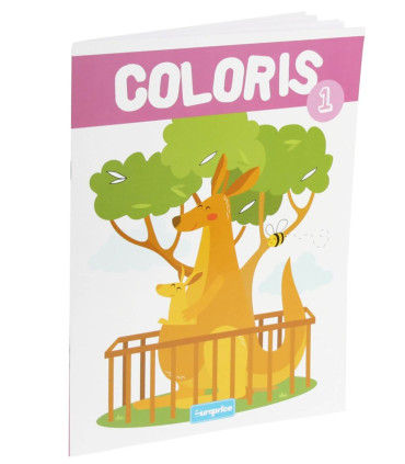 COLORING BOOK 16 PAGES COLORIS 5 TYPES Europrice