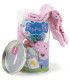 ΠΑΙΔΙΚΕΣ ΚΑΛΤΣΕΣ 4 ΖΕΥΓΑΡΙΑ ΣΕ ΒΑΖΟ 23-30 PEPPA PIG Cerda